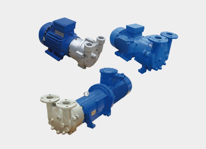 2BV系列水環式(shi)真空泵