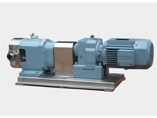 轉子泵的傳(chuán)動形式